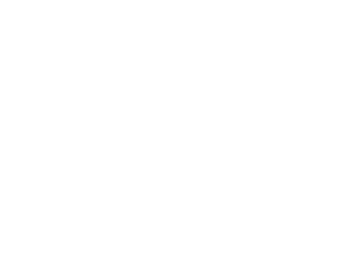 logo-dunlop